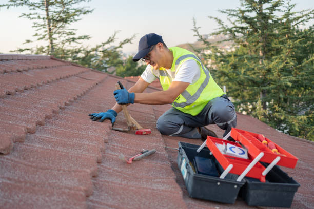 Best Roof Maintenance Services  in Garrison, ND