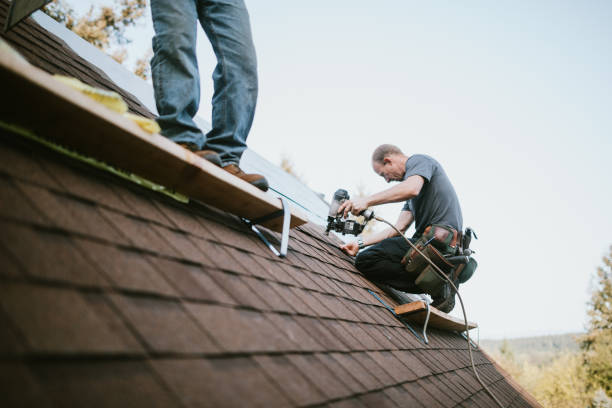 Best Roof Leak Repair  in Garrison, ND
